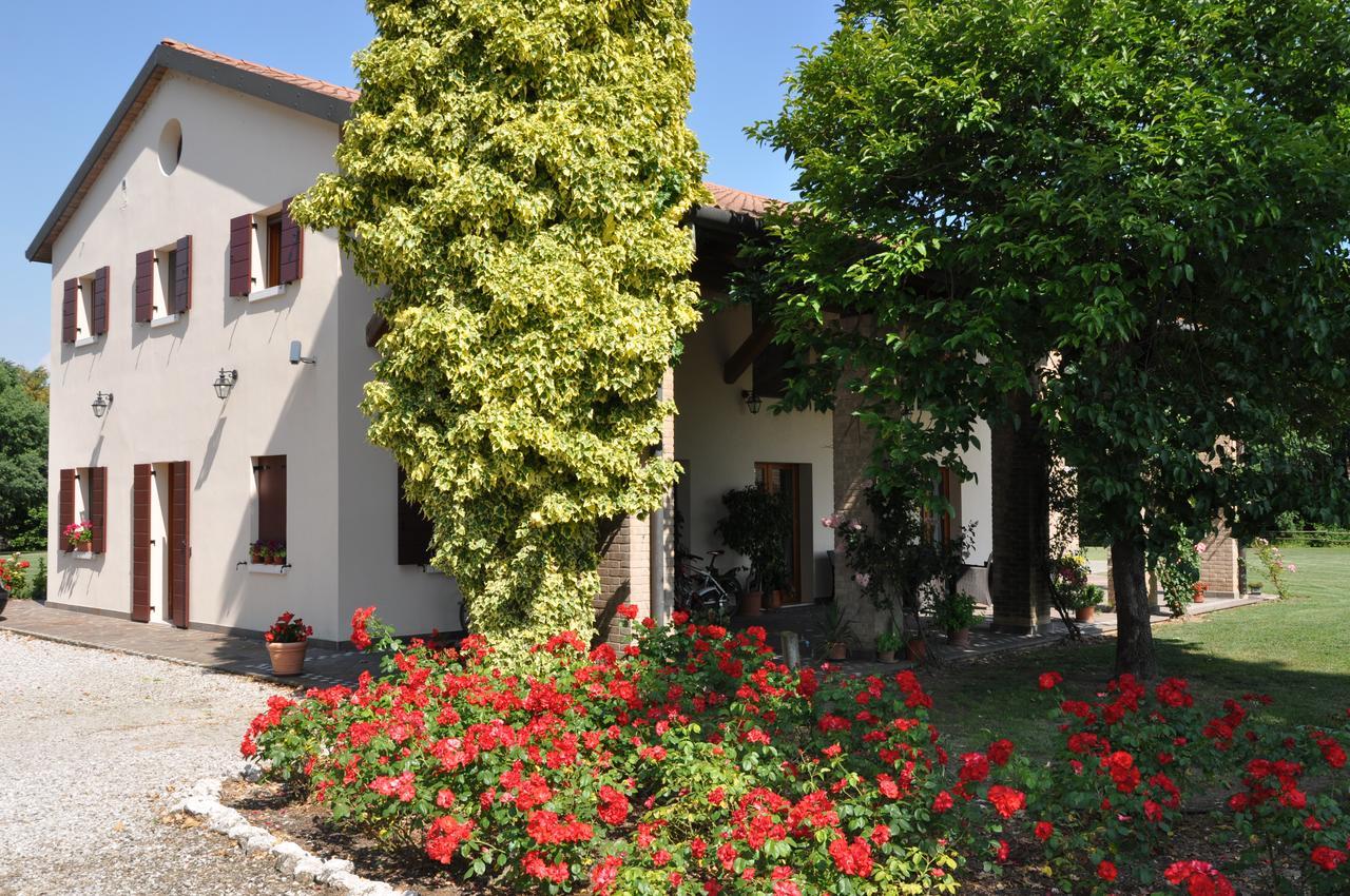 Agriturismo Ancillotto Meolo Екстериор снимка